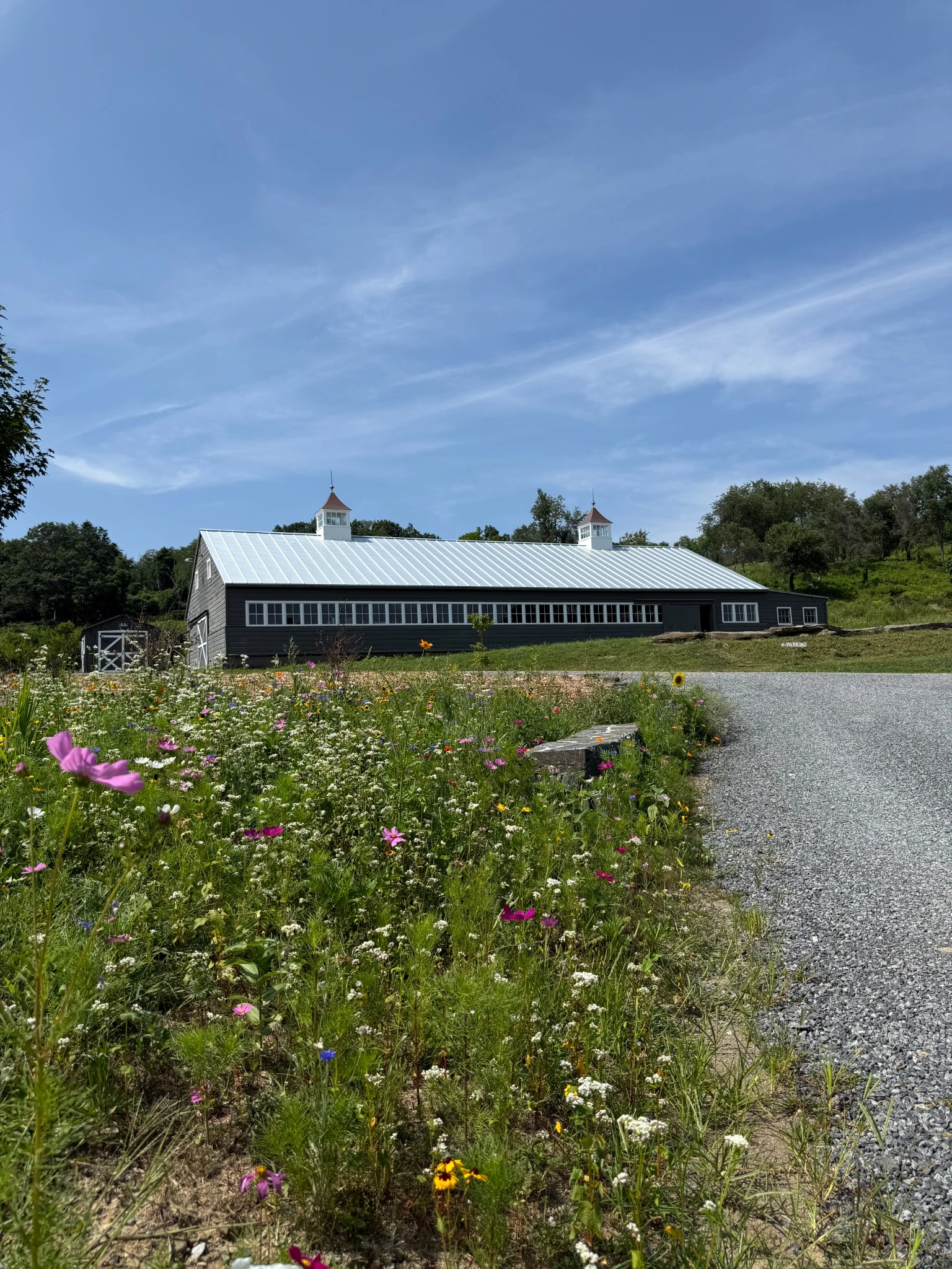 Modern barn style building with metal roof beside a gravel path and colorful wildflower meadow under a blue sky